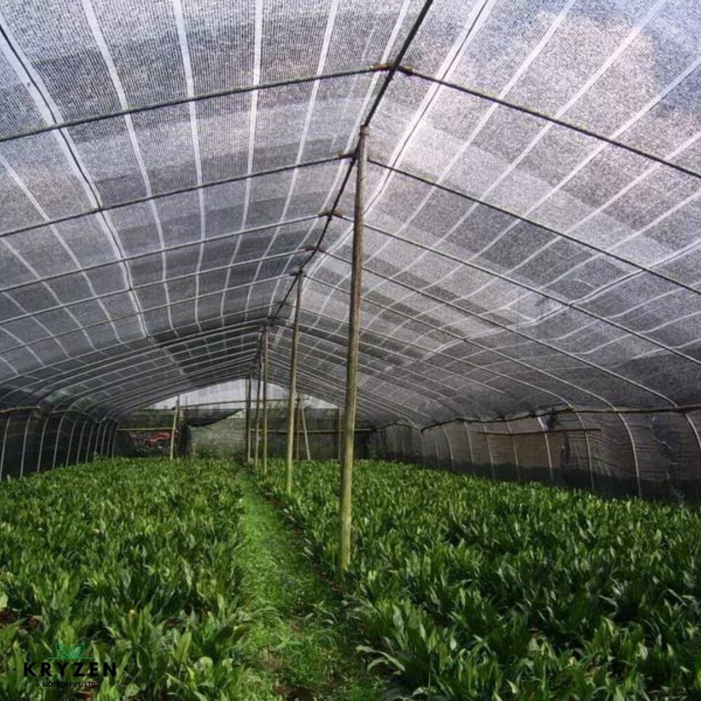 120gm Black HDPE Agriculture Shade Net