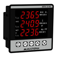 MULTISPAN MFM 15M1