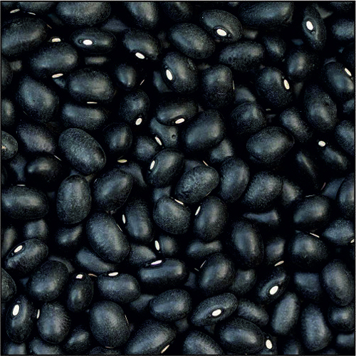Black Pea