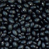 Black Pea