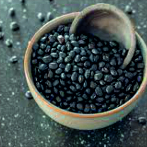 Black Bean - Cultivation Type: Organic