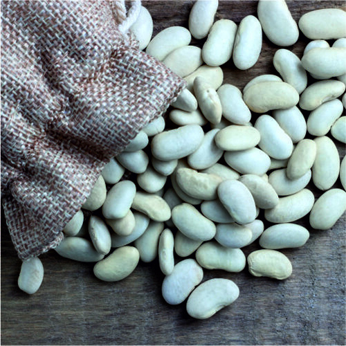 White Kidney Beans - Cultivation Type: Organic