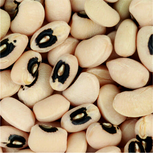 Black Eyed Bean - Cultivation Type: Organic