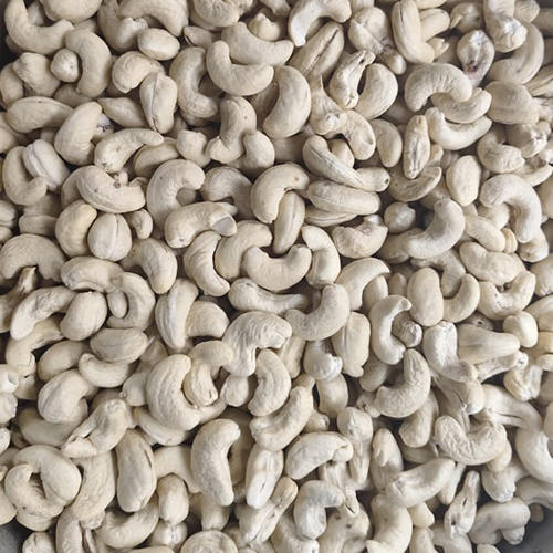 W320 Cashew - Color: White
