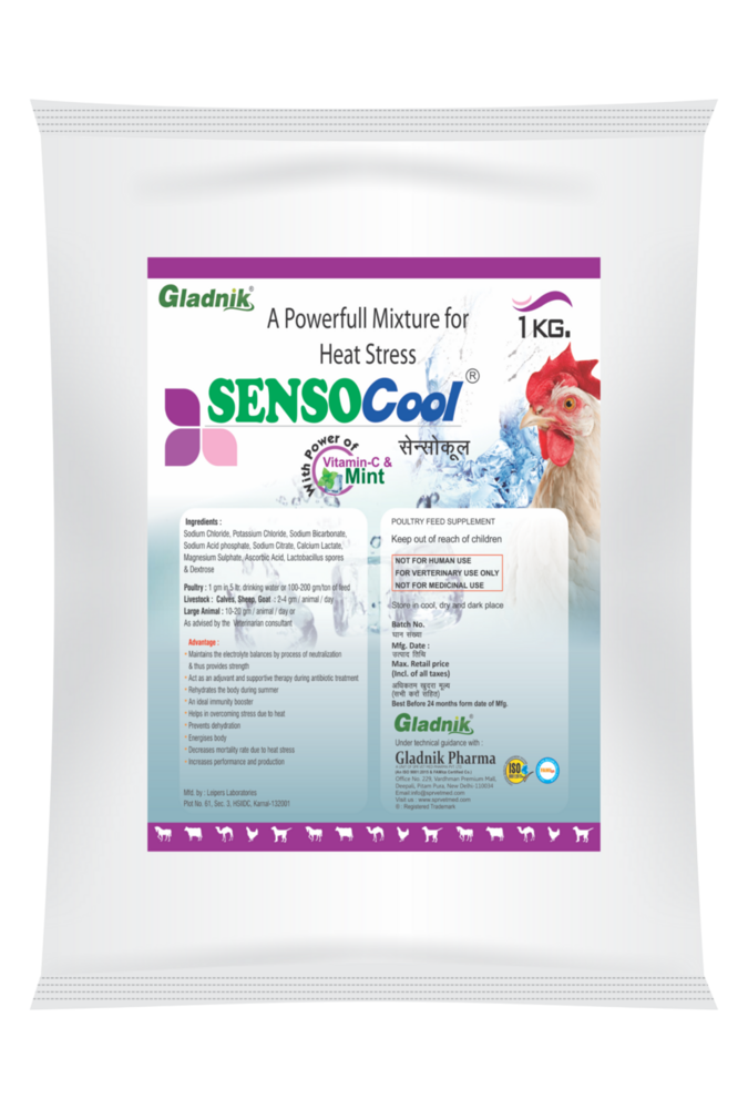 Sensocool Electrolyte Powder
