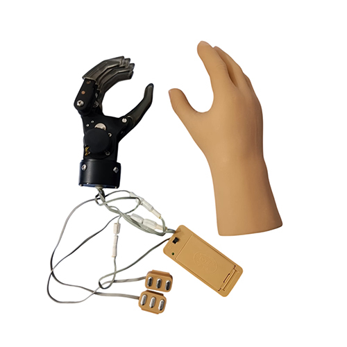 Artificial Myoelectric Hand