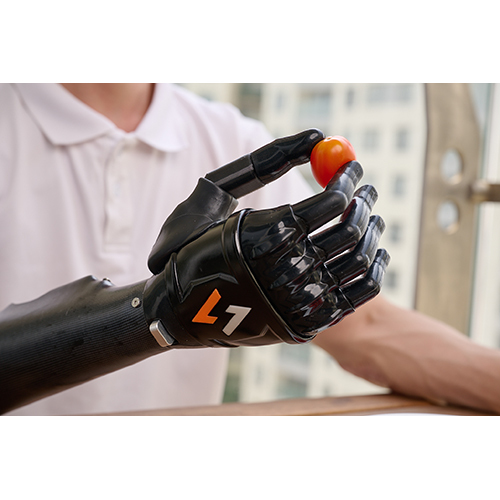 Precision Grip
