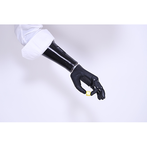 Advanced Upper Limb Prosthetics - Zeus Bionic Hand