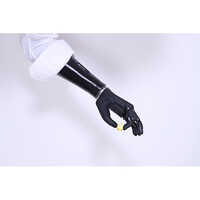 Advanced Upper Limb Prosthetics - Zeus Bionic Hand