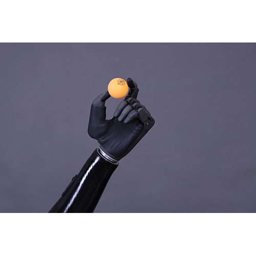 Zeus - Your Everyday Prosthetic Hand