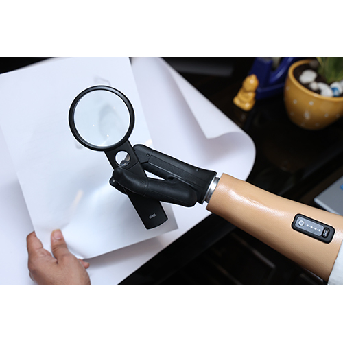 Functional Bionic Hand