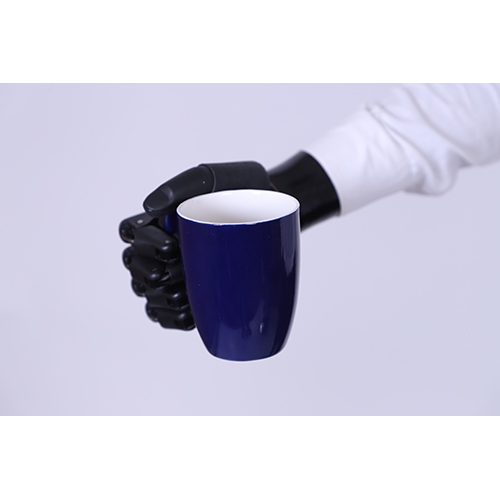 Get Zeus Prosthetic Hand- strong and robust