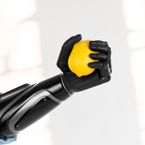 Zeus Artificial Bionic Hand