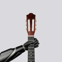 Zeus Artificial Bionic Hand