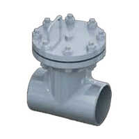 T Type Strainer