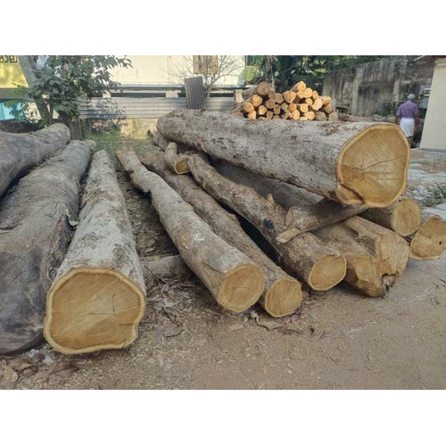 8 Feet Teak Wood Logs - Feature: Durability And Strength