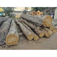 8 Feet Teak Wood Logs - Feature: Durability And Strength