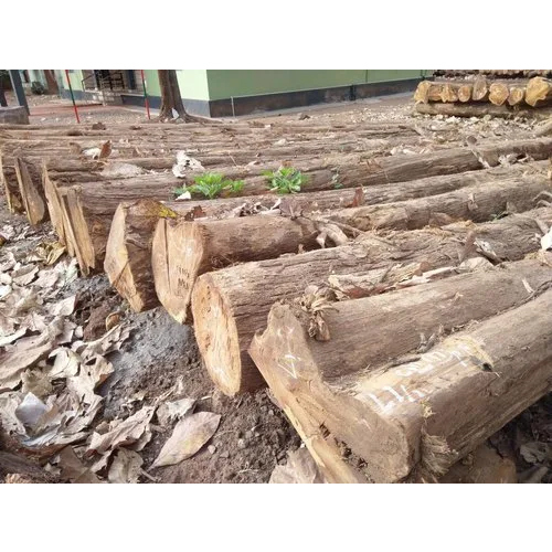 12 Feet Teak Wood Logs - Feature: Durability And Strength: