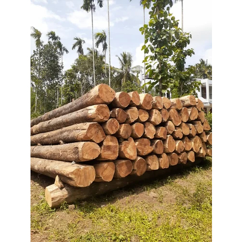 Round Teak Wood Log - Feature: Durability And Strength