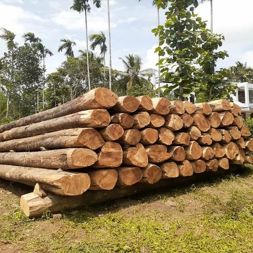 6 Feet Teak Wood Logs - Feature: Durability And Strength
