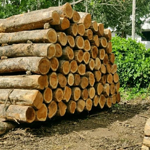 7 Feet Teak Wood Logs - Feature: Durability And Strength