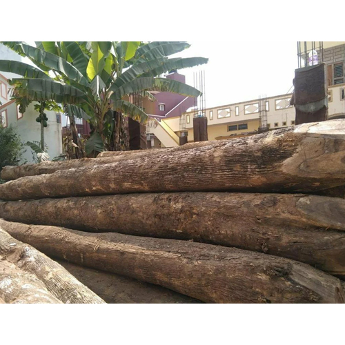 60 Inches Teak Wood Logs - Feature: Durability And Strength