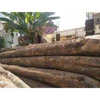 60 inches Teak Wood Logs