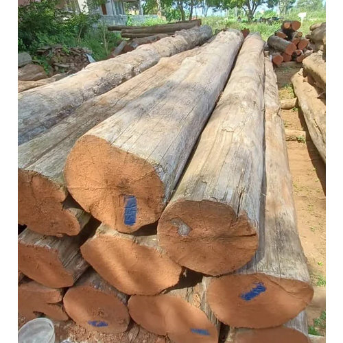 Hunsur Teak Wood Log - Feature: Durability And Strength