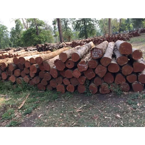 Sagwan Wood Log - Feature: Durability And Strength