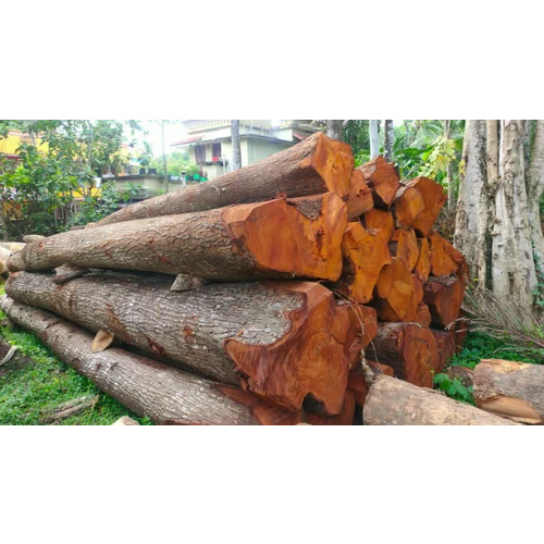 4 Inch Mahogany Wood Log - Feature: Durability And Strength
