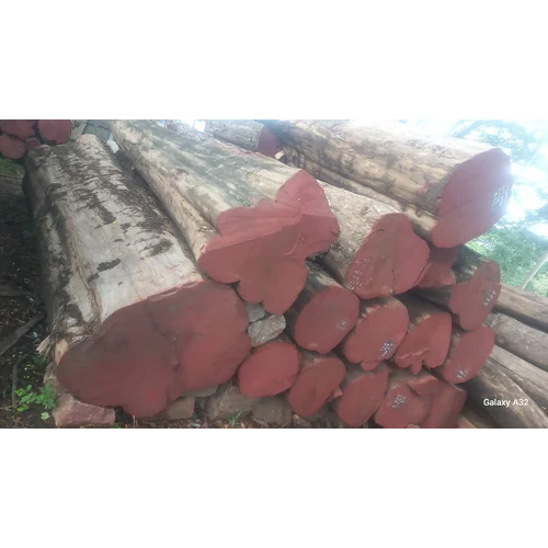 Indian Teak Wood - Feature: Durability And Strength