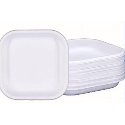 Sugarcane Bagasse Plate