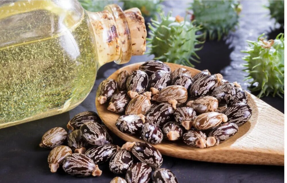 Cold Pressed / Virgin Castor Oil