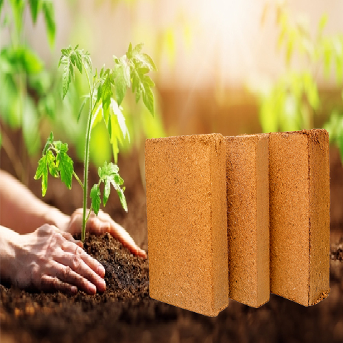 Square Brown Cocopeat Block