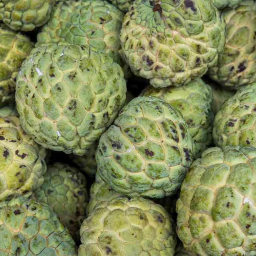 Fresh Custard Apple - Organic, Green Color, Natural Shape | Delightfully Sweet, Creamy Texture, Versatile for Raw and Desserts