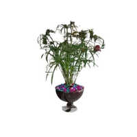 Glass Fancy Flower Pot - Color: Multicolor