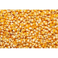 Natural Maize