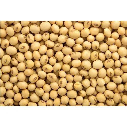 Organic Soyabean