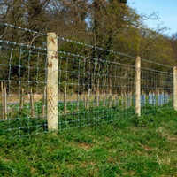 Boundary Fencing Wire