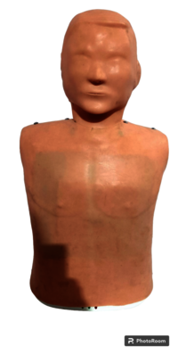NURSING MANIKIN