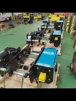 Electric wire rope hoist