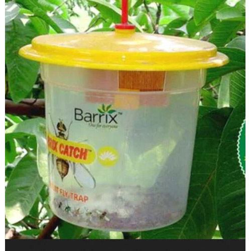 Catch Vegetable & Fruit Fly Trap
