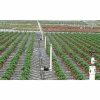 Drip Irrigation System
