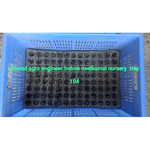 Plastic Caret For Nursery