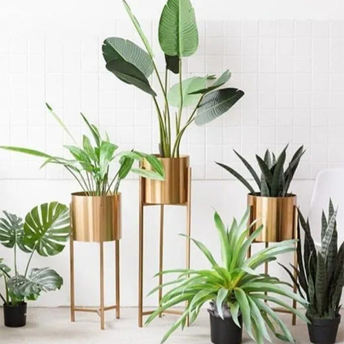Metal Indoor Planter set