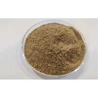 Fish Meal Powder