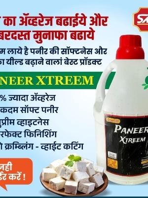 Paneer Xtreem