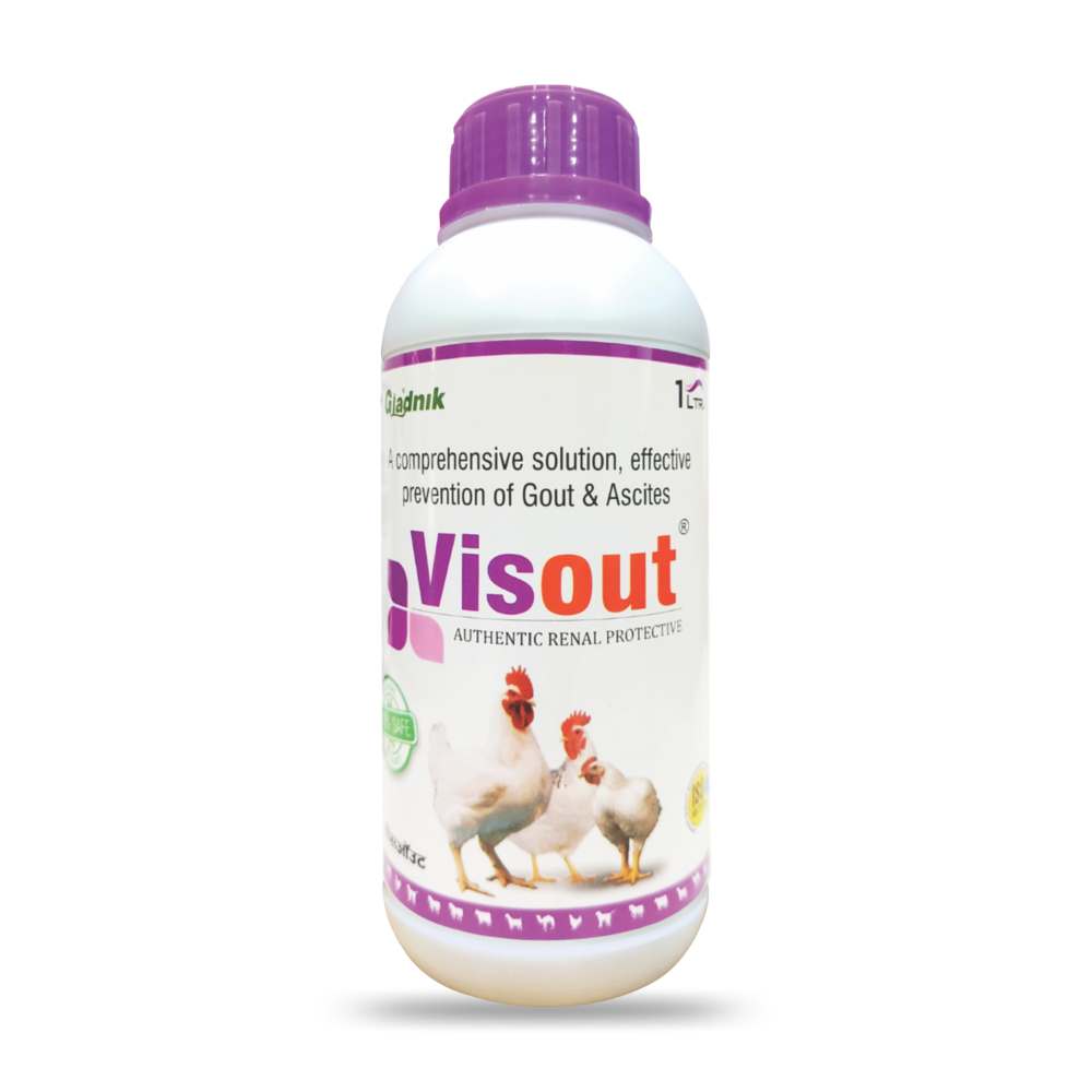 1L VISOUT