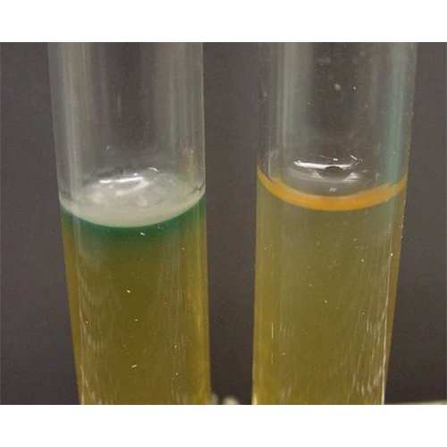 Bio Culture Bacteria Solution
