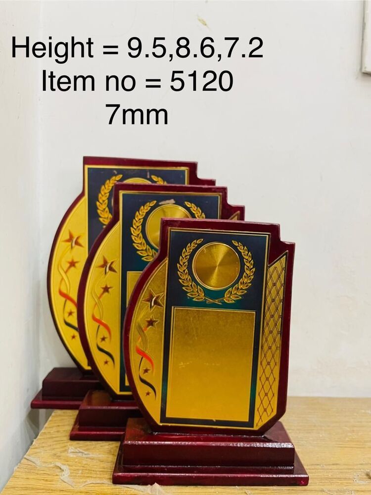Golden Momentos Trophy - Color: Copper Color